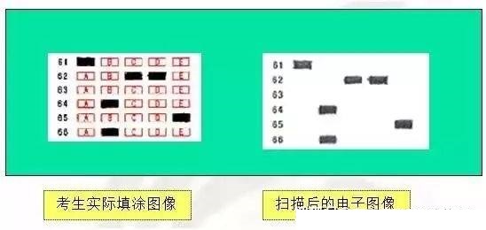 cb414c6b654c45ed91bdbaa86fab4236.jpeg