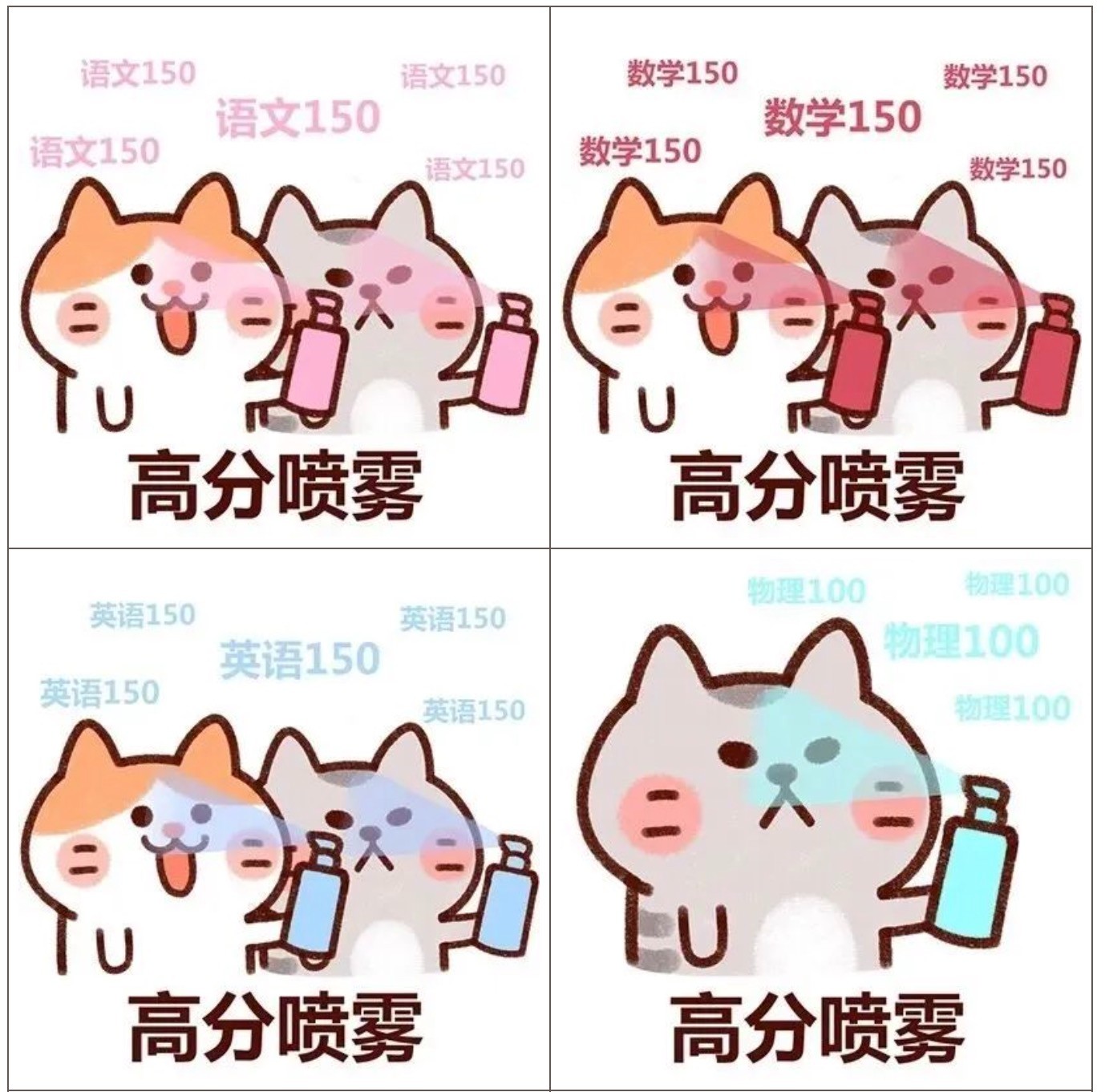 1750560060254.jpg