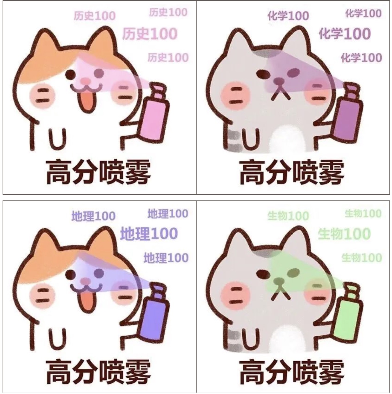 1750560066737.jpg