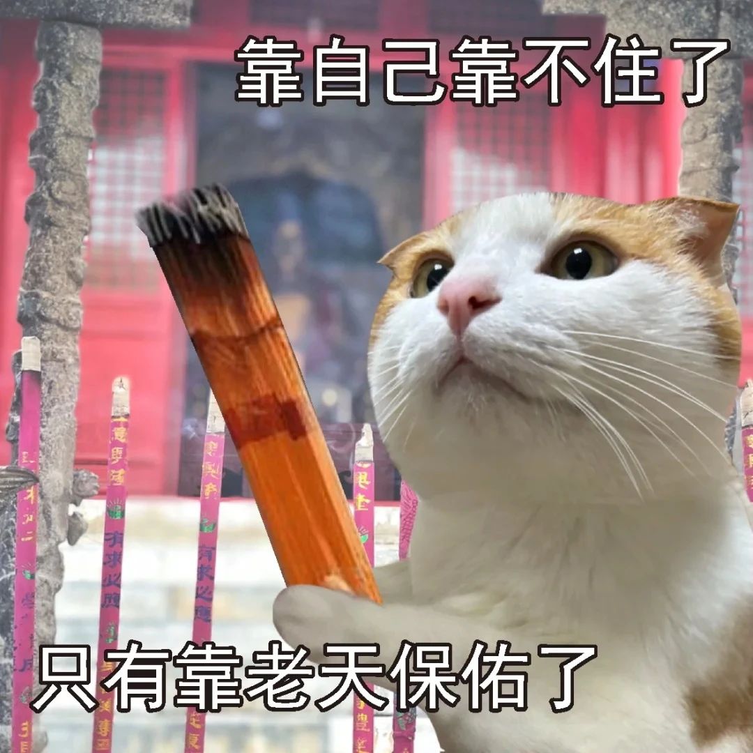 64f61c726e5fa3b643f5666c23d74d4b.jpeg