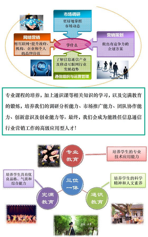 <a href='/Gaokao/Professional/Details/120202'>市场营销</a>专业解读4