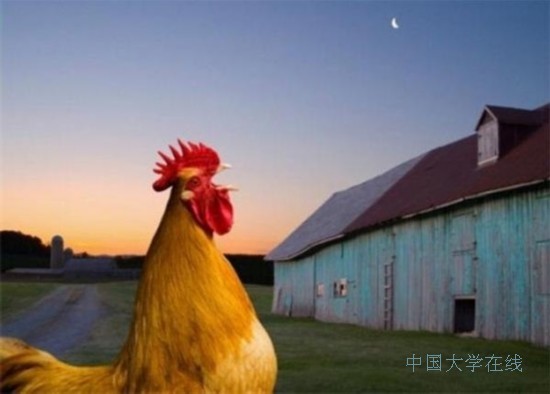 2014高考志愿填报：最出人意料的20种高薪职业