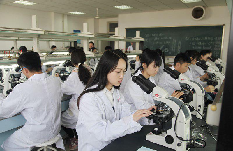 资深高考家长自我总结志愿填报13条经验教训