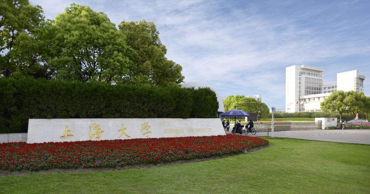 上海的211大学和东北的985大学，高考录取分数相当，怎么选？