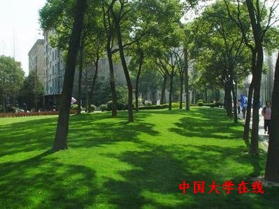中国收费最狠的大学 <a href='/Gaokao/College/Details/GBBK0814'>中央戏剧学院</a>位居榜首