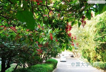 　　依山傍水古朴校园