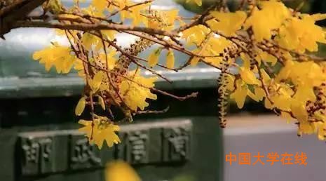 盘点中国最牛的非211高校：国科大领衔