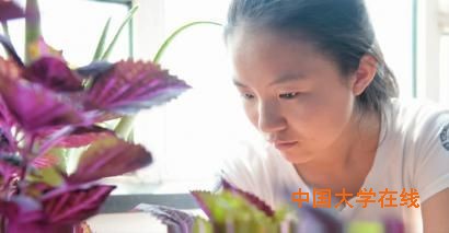 他们的大学梦需要您的帮助
