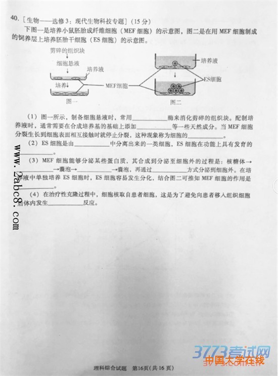 2016广州一模理综答案2016年广州市普通高中毕业班综合测试一理综试题答案