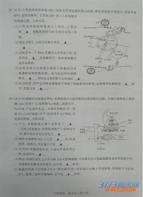 2016南通二模生物答案南通市2016届高三第二次调研测试生物试题答案