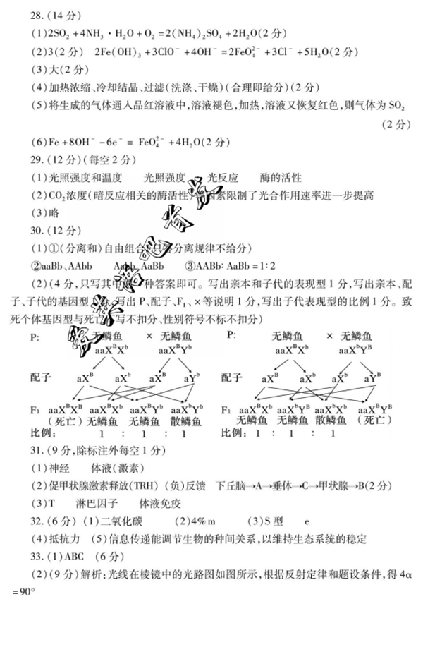 2016咸阳二模理综答案2016年咸阳市高考模拟检测二理科综合试题答案