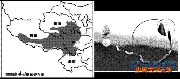 2016江门一模文综答案江门市2016届高三第一次调研考试文综试题答案