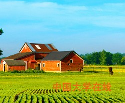 考研梦想与政策  力挺农村娃走上广阔舞台