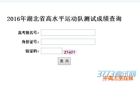2016年湖北省高水平运动队测试成绩查询