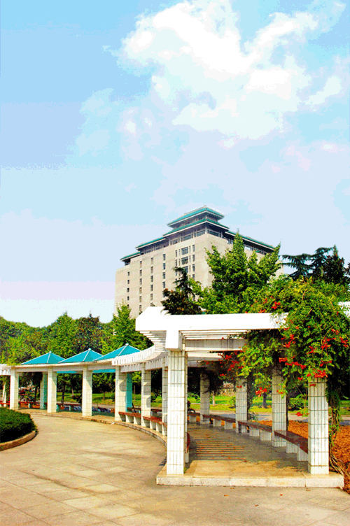 武汉大学