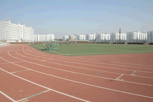 武汉大学珞珈学院