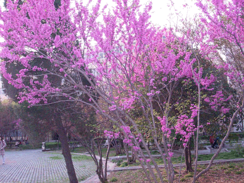 武汉工业学院工商学院