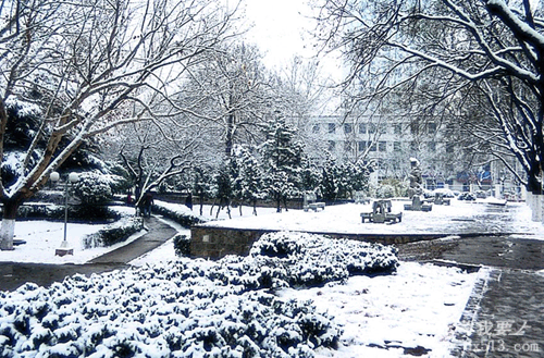 山东农业大学