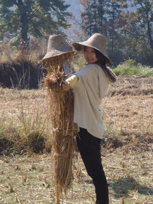 温州大学等三所高校美女校花